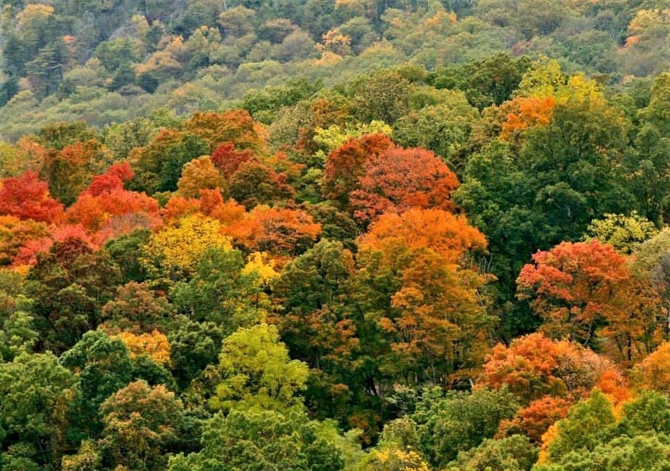 Fall Hymn Sing Getaway 2024!