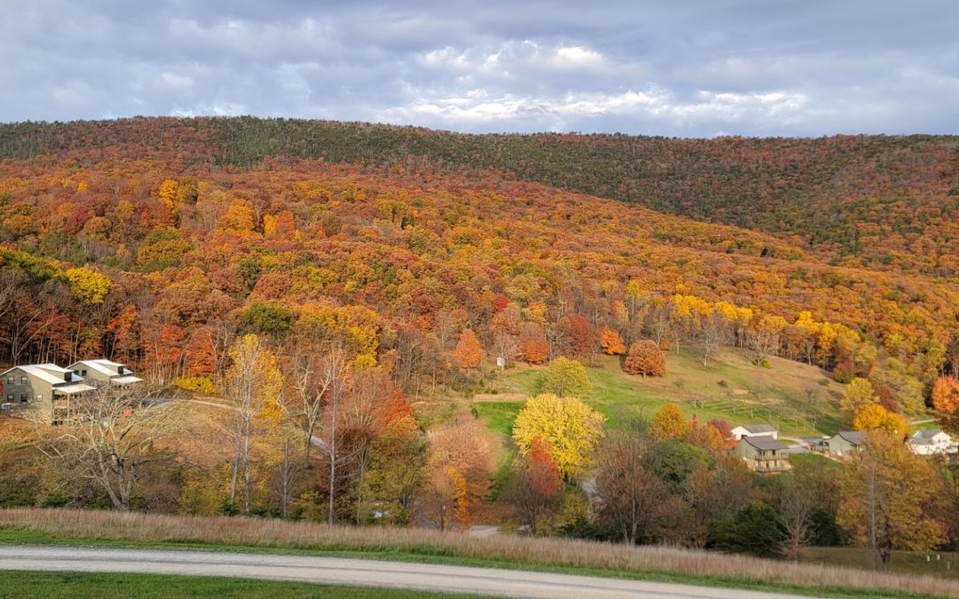 The Mountains are Calling!